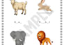 design kids activity book interior and cover for amazon KDP